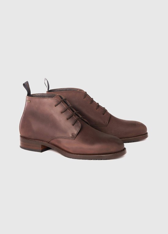 Bottes Habillées Dubarry Kilgarvan Homme Marron | 309286CEG