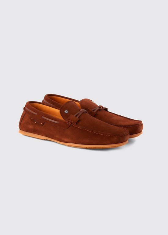 Chaussures De Pont Dubarry Voyager Homme Marron | 672034XHS